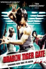 Movie poster: Dragon Tiger Gate