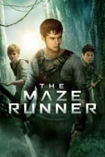 Movie poster: Maze Runner