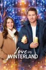 Movie poster: Love in Winterland
