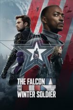 Movie poster: The Falcon and the Winter Soldier Season 1