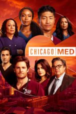 Movie poster: Chicago Med Season 6