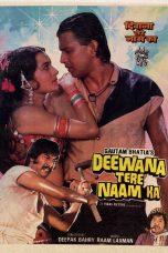 Movie poster: Deewana Tere Naam Ka