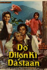 Movie poster: Do Dilon Ki Dastaan