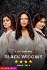 Movie poster: Black Widows Season 1