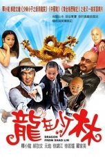 Movie poster: Dragon from Shaolin