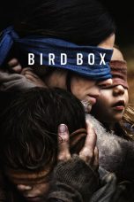 Movie poster: Bird Box