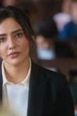 Movie poster: Illegal – Justice, Out of Order Season 2 Episode 5