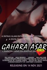 Movie poster: Gahara Asar Dil Tak
