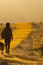 Movie poster: Emerald City Season 1 Episode 1