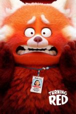 Movie poster: Turning Red