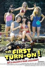 Movie poster: The First Turn-On!!