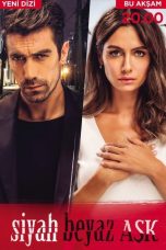 Movie poster: Price Of Passion Season 1 Episode 49