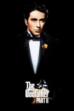 Movie poster: The Godfather Part II