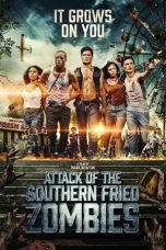 Movie poster: Attack of the Southern Fried Zombies