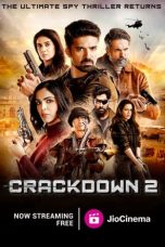 Movie poster: Crackdown Season 2 Episode 8