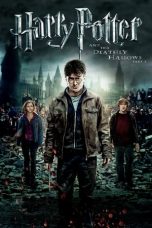 Movie poster: Harry Potter and the Deathly Hallows: Part 2 11122023