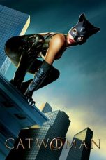 Movie poster: Catwoman 15122023