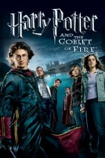 Movie poster: Harry Potter and the Goblet of Fire 04042023