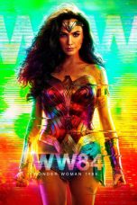 Movie poster: Wonder Woman 2 062024