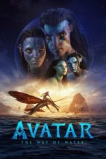 Movie poster: Avatar: The Way of Water 082024