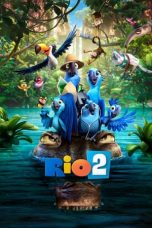 Movie poster: Rio 2 15012024