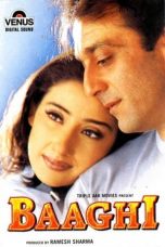 Movie poster: Baaghi 2000
