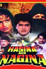 Movie poster: Hasina Aur Nagina 1996