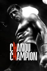 Movie poster: Chandu Champion 2024