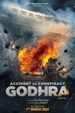 Movie poster: Accident or Conspiracy: Godhra