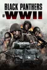 Black Panthers of WWII (2025) Movie poster: Black Panthers of WWII (2025)