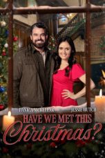 Movie poster: Have We Met This Christmas? (2025)