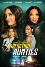 Movie poster: Operation: Aunties (2025)